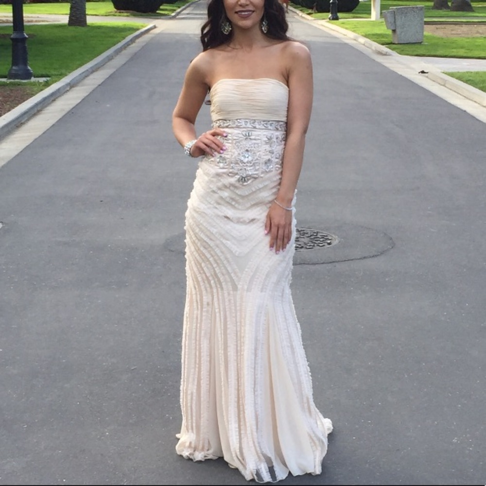 Sue Wong homecoming/prom/wedding gown